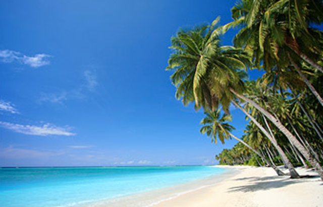 Columbus finds the Bahamas!