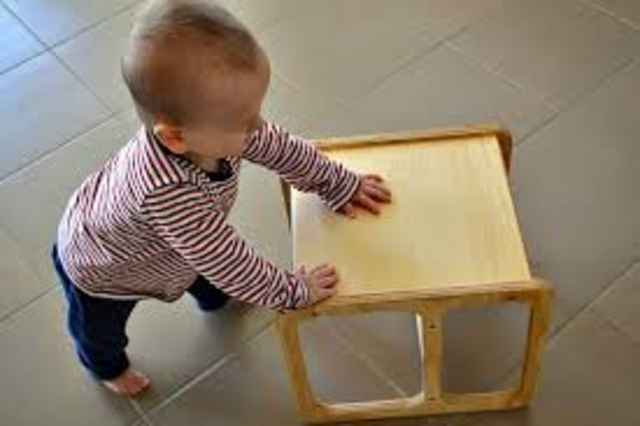 13-15 Months Physical