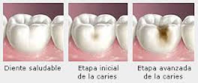 PRIMERAS INVESTIGACIONES