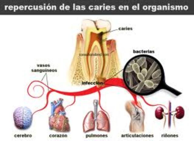 EFECTOS EN EL ORGANISMO