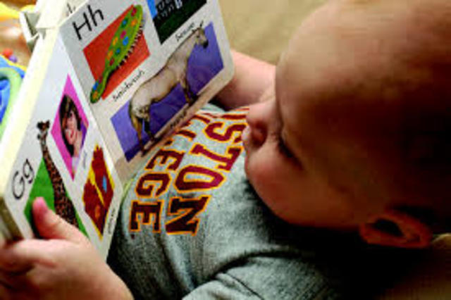 22-24 Months Congnitive