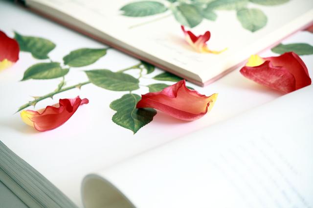 Papa-Nnukwu Goes to Sleep