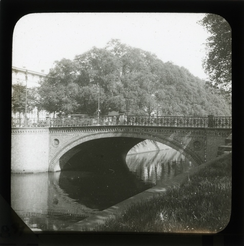 Rosa was shot to death.