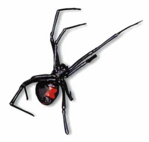 Willian Hertz se casa con Lia Jhonson