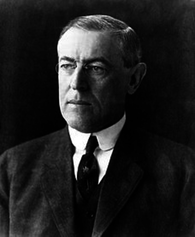 president wilson outlines his case for war to congress