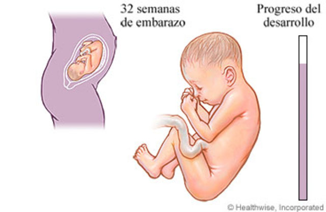 32 SEMANAS DE EMBARAZO