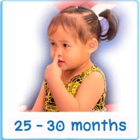 24-30 months physical