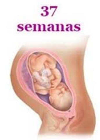 37 SEMANAS DE EMBARAZO