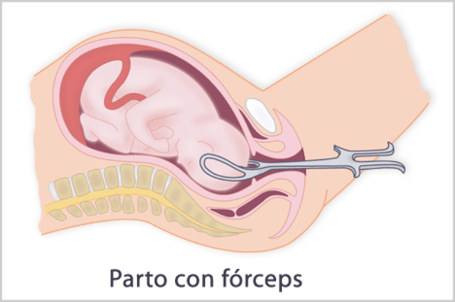 40 SEMANAS DE EMBARAZO