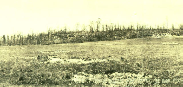 Battle of Belleau Wood