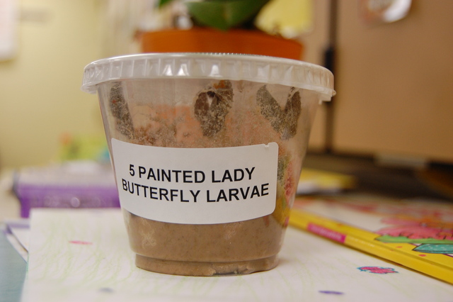 It's time to move...