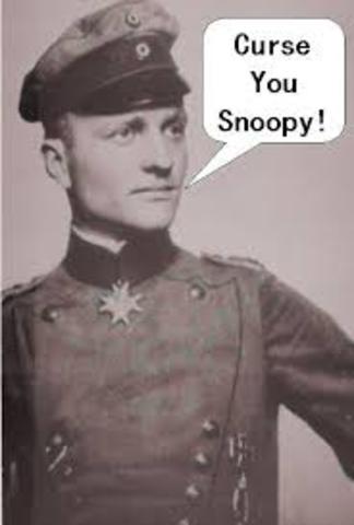 Red Baron had downed 31 Allies Planes