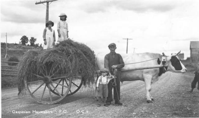 First Pioneer Family