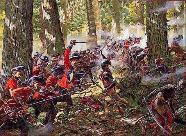 Iroquois War
