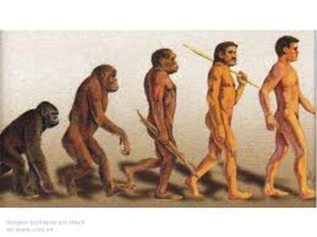 Origen de las especies