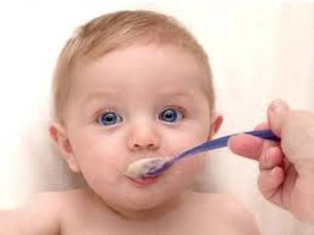 Alimentación (6 meses)