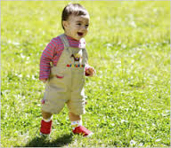 Psicomoticidad (12 meses)