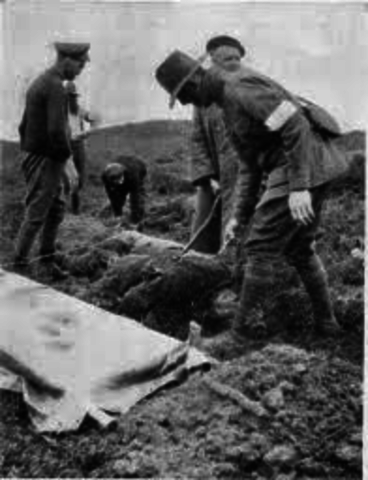 Armistice Called at Gallipoli