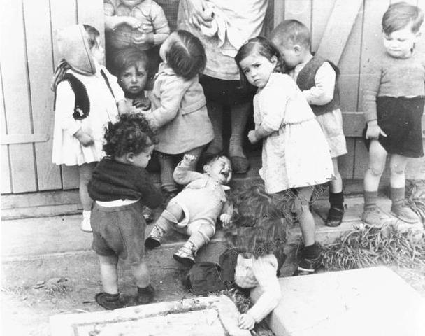 Nazi is the only party