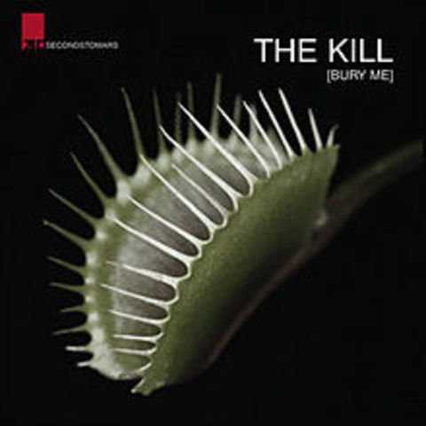 Second Single - "The Kill"