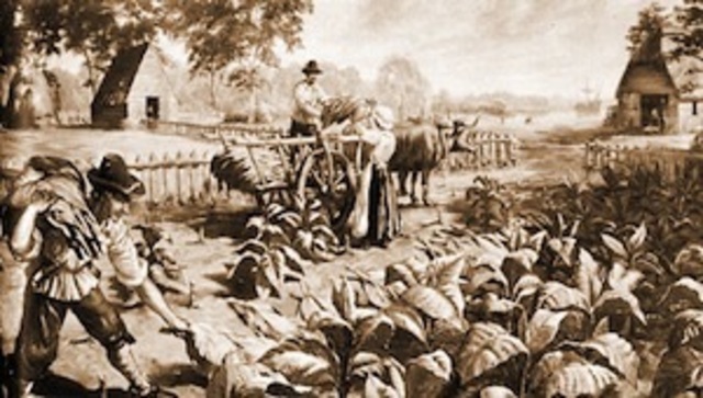 Jamestown: Headright System