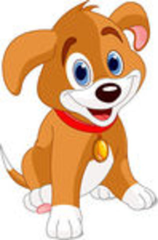 Bought my first dog "Riley"