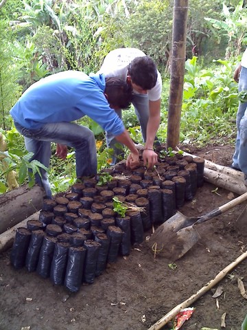 COMPETENCIAS LABORALES