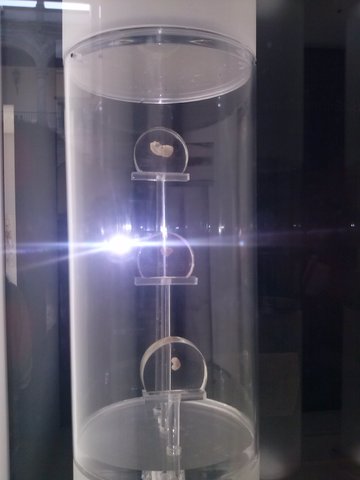 etapa embrionaria 4,5 y 6