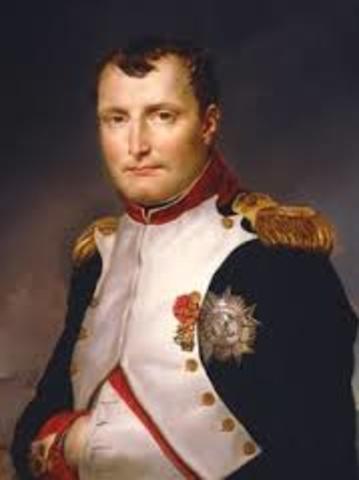 Napoleon takes power