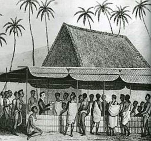 The Missionares Stay in Hawaii