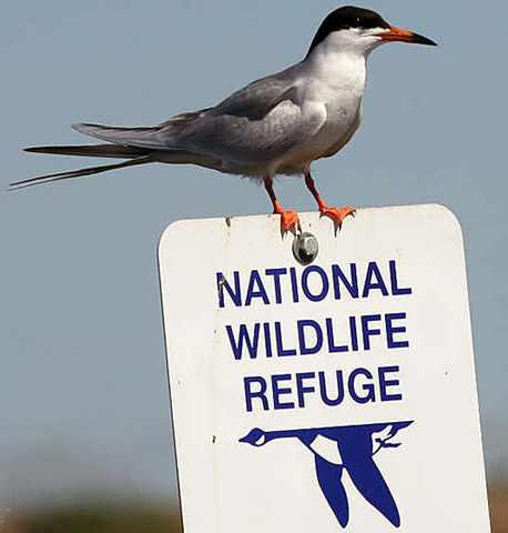 First National Wildlife Refuge Established