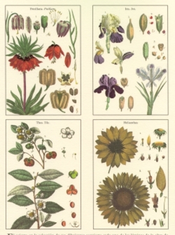 Caldas el cientifico