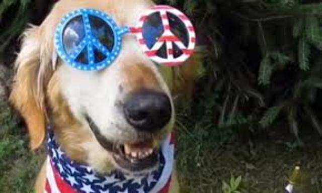 when was vine created