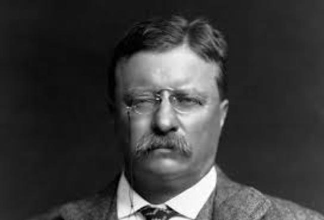 Theodore Roosevelt takes the Presidency
