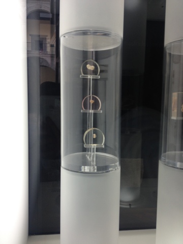 EMBRIONES DE 4, 5 Y 6 SEMANAS