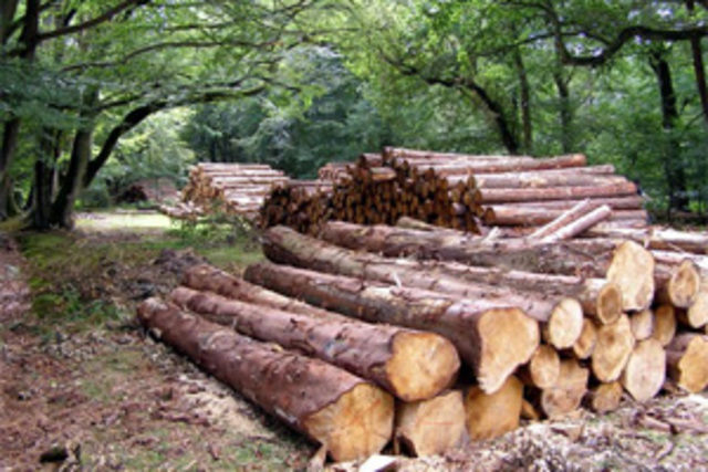 General Revision Act