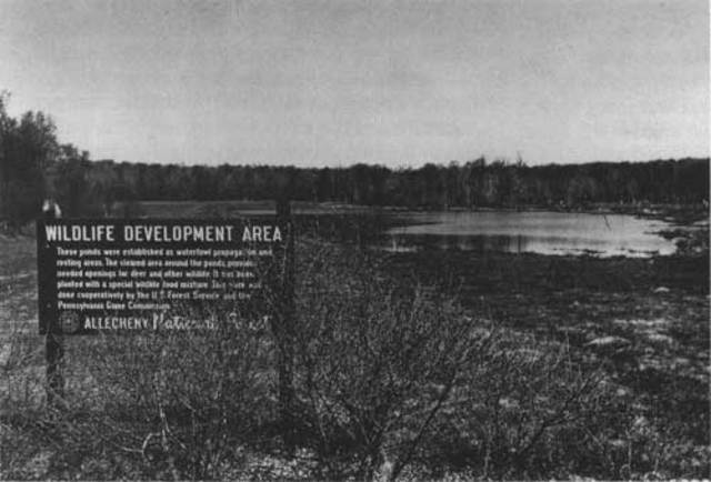 Congress bans further forest withdrawals