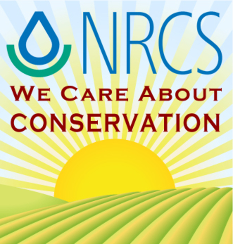 Soil Conservation Service founded