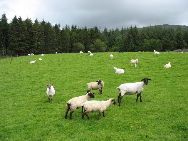Taylor Grazing Act