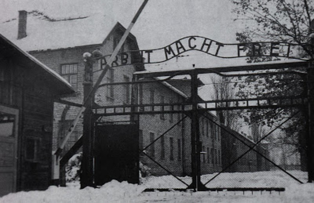 Vladek and Anja arrive at Auschwitz.