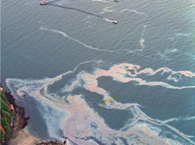 Exxon Valdez Oil Spill