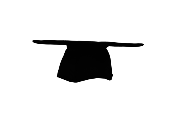 Graduate high school