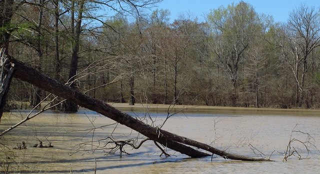Champlain Travels Down Broad Lake