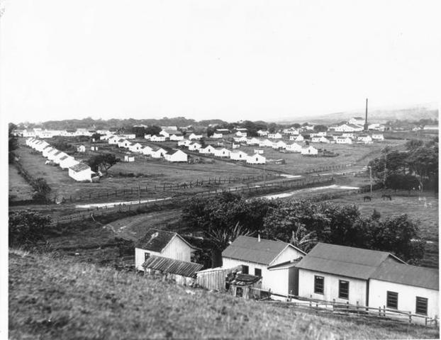 THe first sugar plantation company