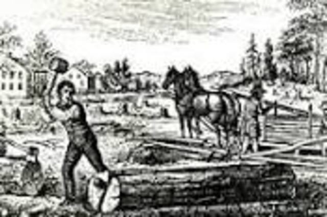 Indentured servitude