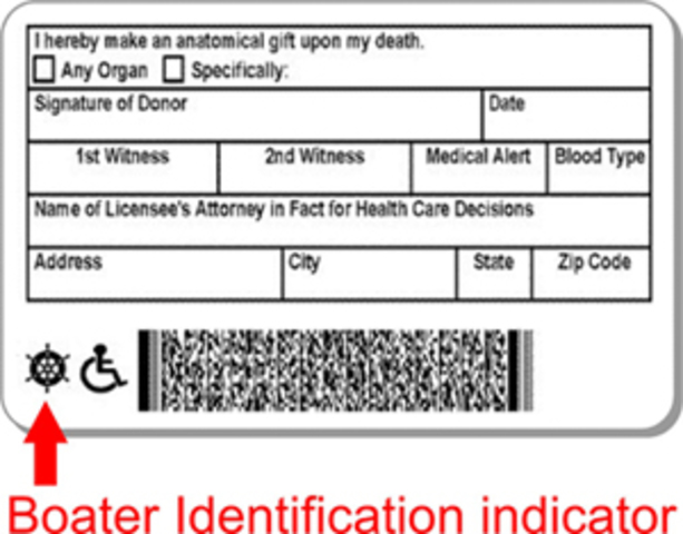 got my drivers license