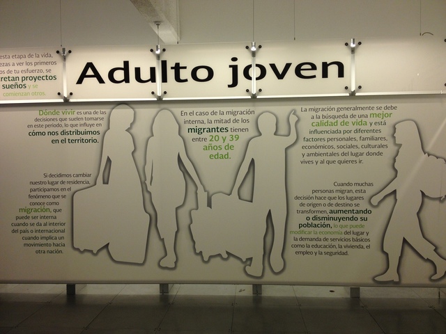 ADULTO JOVEN