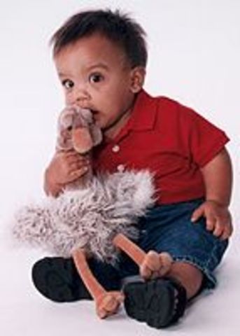 Los procedimientos de aprendizaje