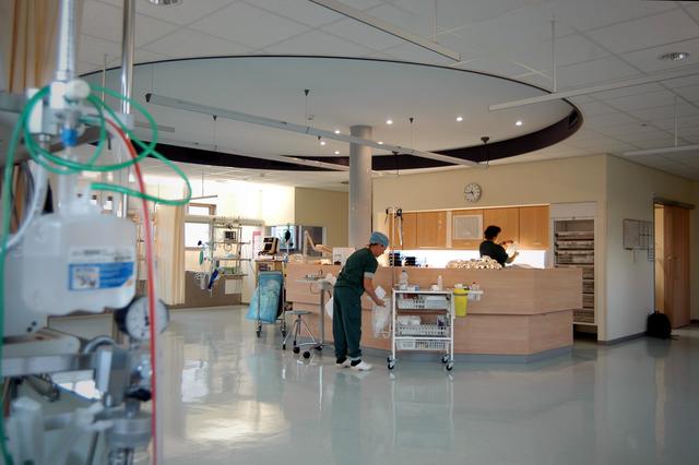 Sociale grondrechten in de grondwet