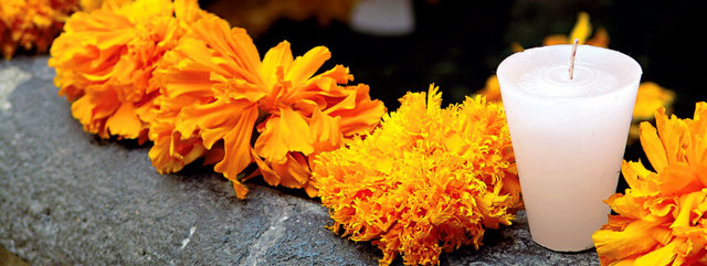 1:00-6:00 Day of the Dead Festival